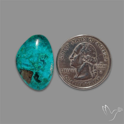 Chrysocolla Cabochon