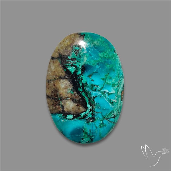 Chrysocolla Cabochon