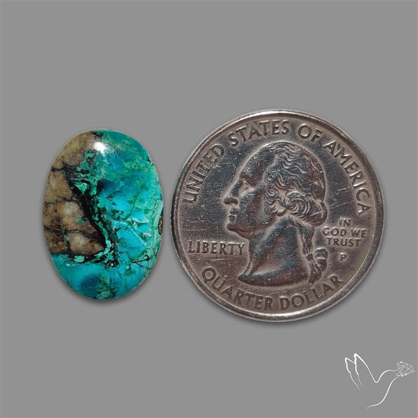 Chrysocolla Cabochon