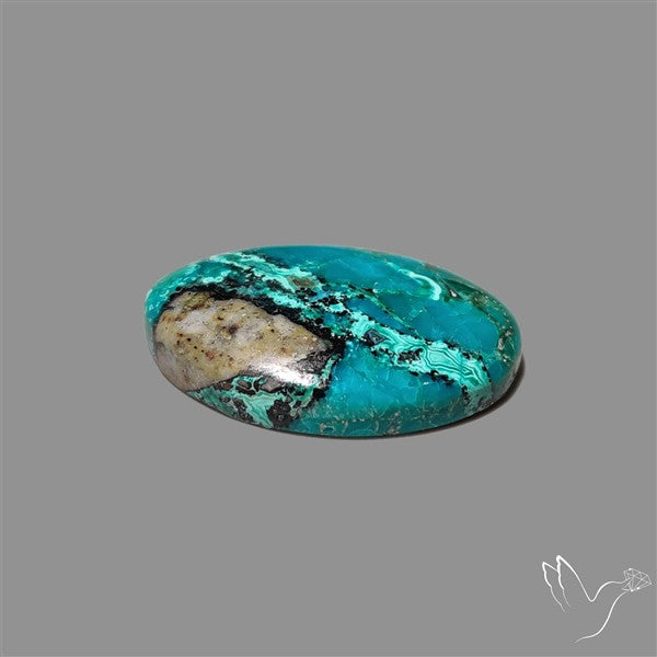 Chrysocolla Cabochon