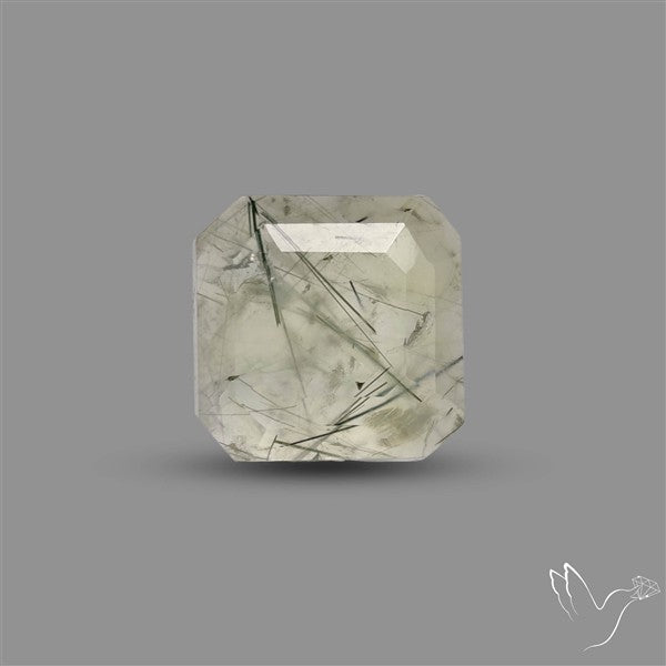 Step Cut Rutilated Prehnite