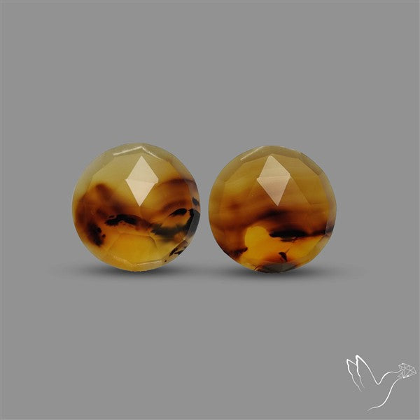 Montana Agate Pair