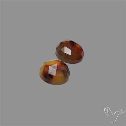 Montana Agate Pair