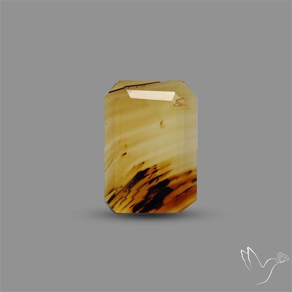Step Cut Montana Agate