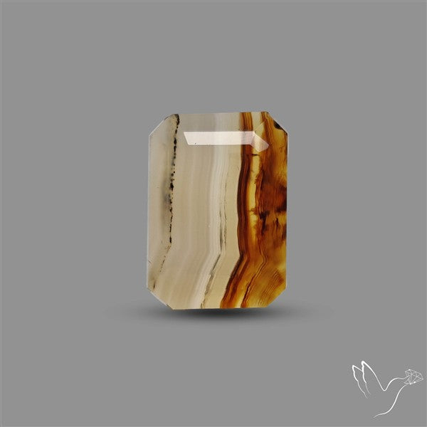 Step Cut Montana Agate