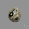 Rose Cut Orbicular Ocean Jasper