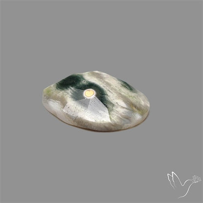 Rose Cut Orbicular Ocean Jasper