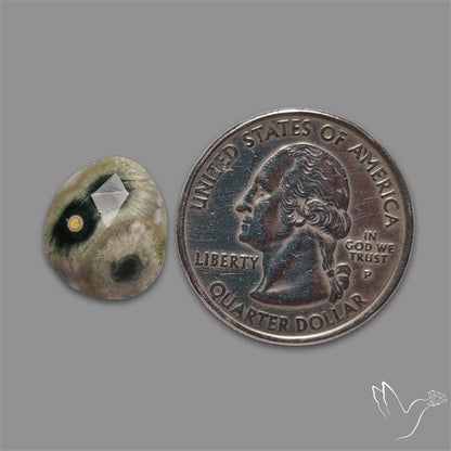 Rose Cut Orbicular Ocean Jasper