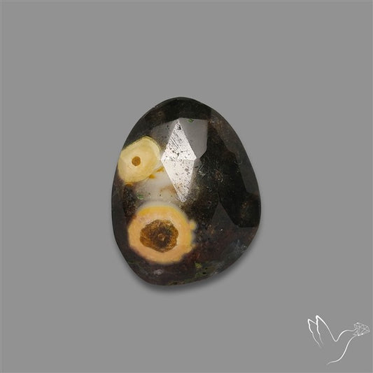 Rose Cut Orbicular Ocean Jasper