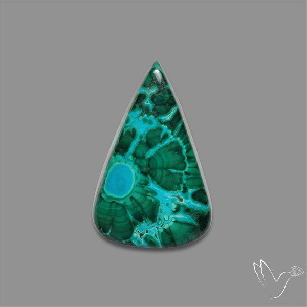 Chrysocolla In Malachite Cabochon