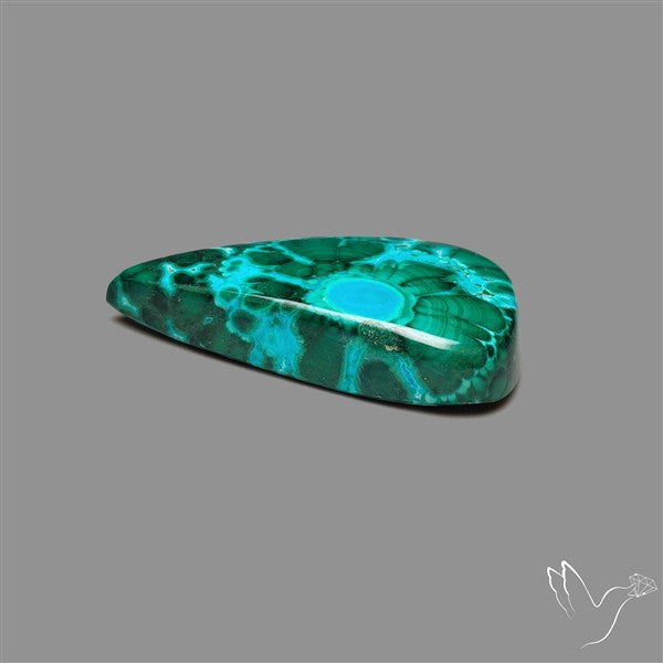 Chrysocolla In Malachite Cabochon