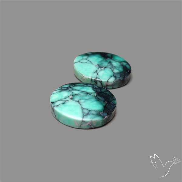 Rare Black Bridge Variscite Pair