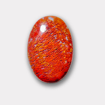 Red Moss Agate