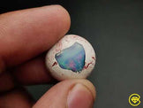 Opal,Cantera Opal