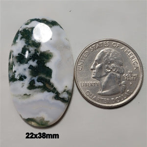Tree Agate