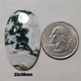 Agate|Tree Agate