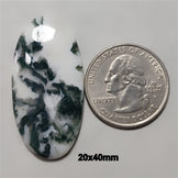 Agate|Tree Agate