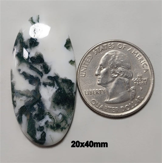 Agate|Tree Agate