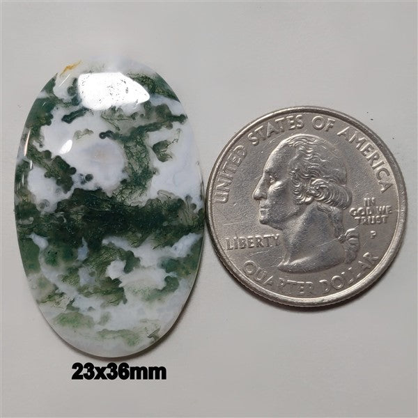 Agate|Tree Agate