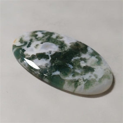Agate|Tree Agate