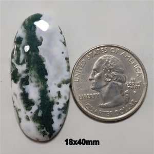 Tree Agate