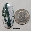 Agate|Tree Agate