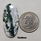 Agate|Tree Agate
