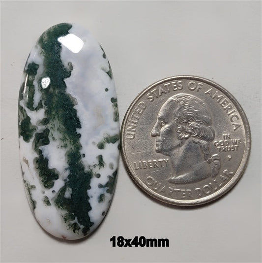 Agate|Tree Agate