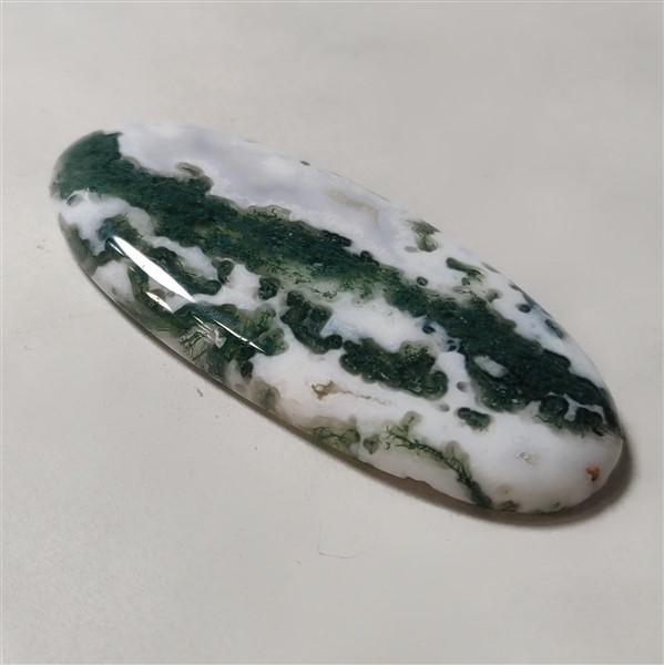 Agate|Tree Agate