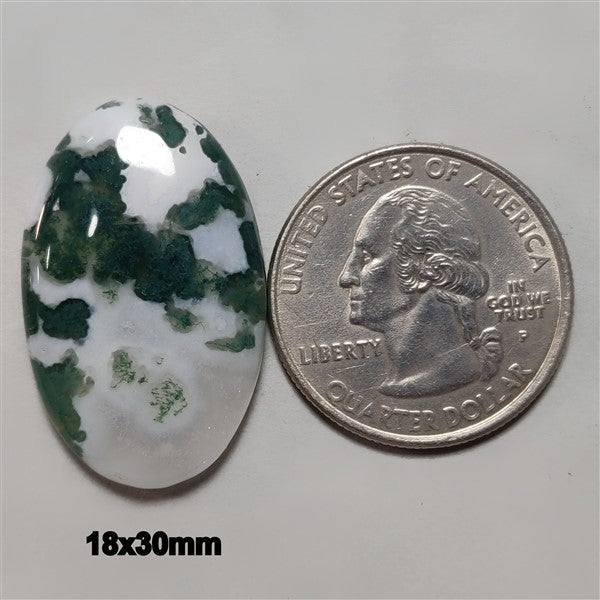 Agate|Tree Agate