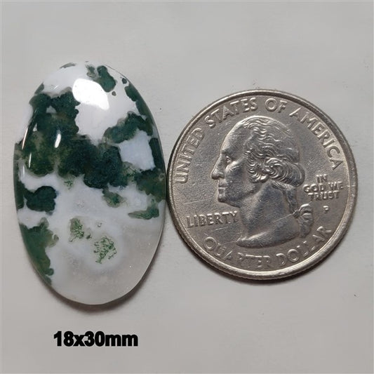 Agate|Tree Agate