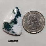Agate|Tree Agate