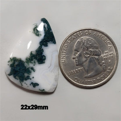 Agate|Tree Agate