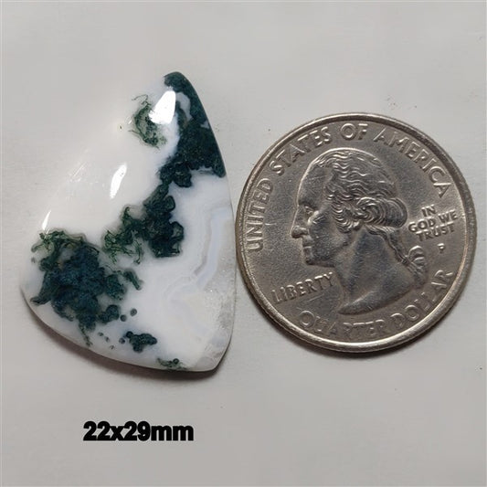 Agate|Tree Agate