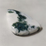 Agate|Tree Agate