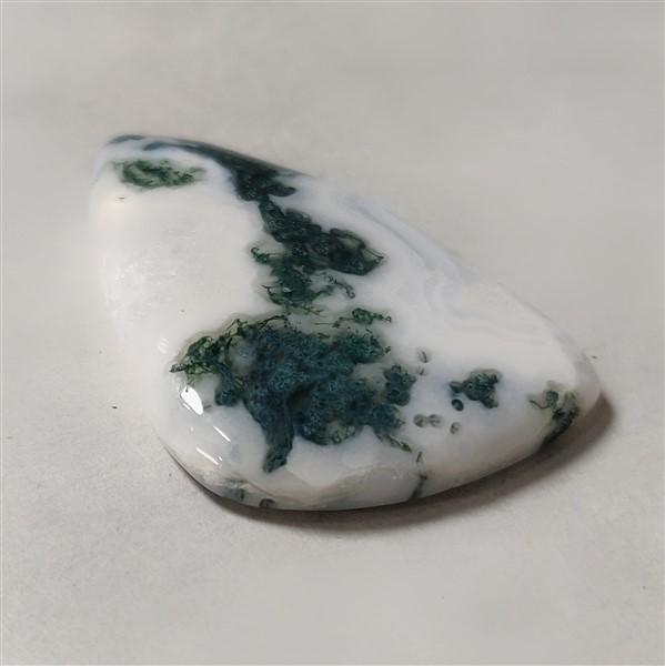 Agate|Tree Agate