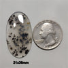 Agate|Dendritic Agate