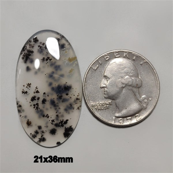Agate|Dendritic Agate
