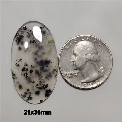 Agate|Dendritic Agate