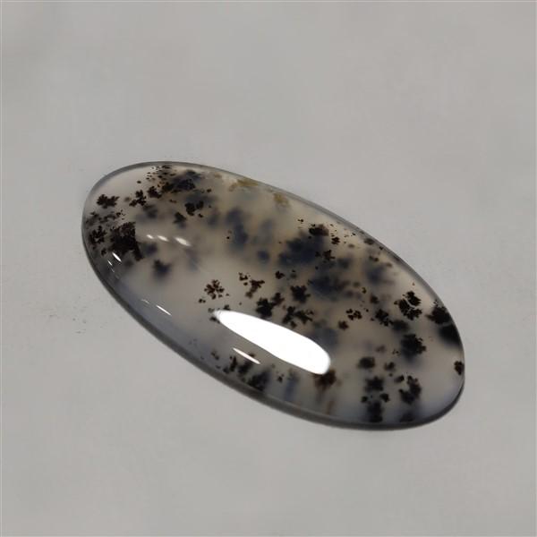 Agate|Dendritic Agate