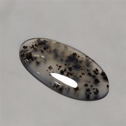 Agate|Dendritic Agate