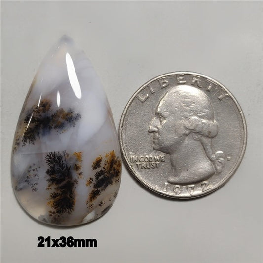 Agate|Dendritic Agate