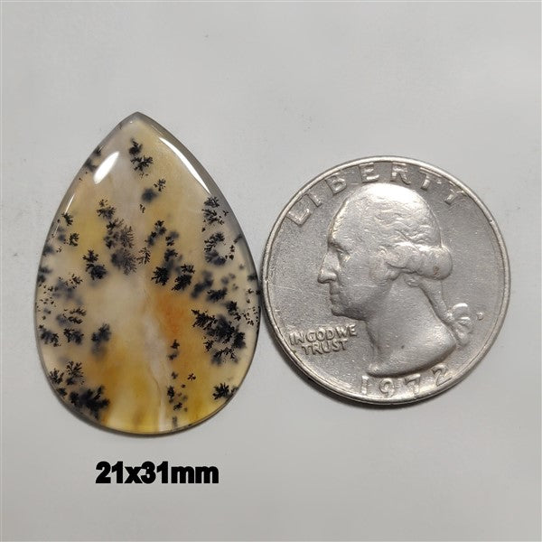 Agate|Dendritic Agate