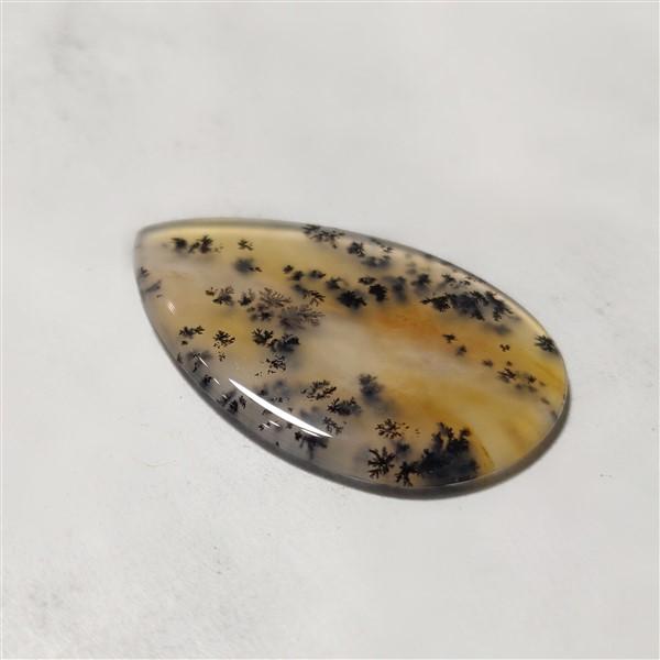 Agate|Dendritic Agate
