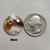 Agate|Dendritic Agate