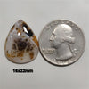 Agate|Dendritic Agate