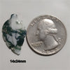 Agate|Tree Agate