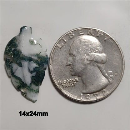 Agate|Tree Agate