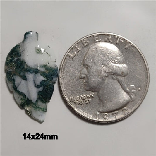 Agate|Tree Agate