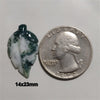 Agate|Tree Agate